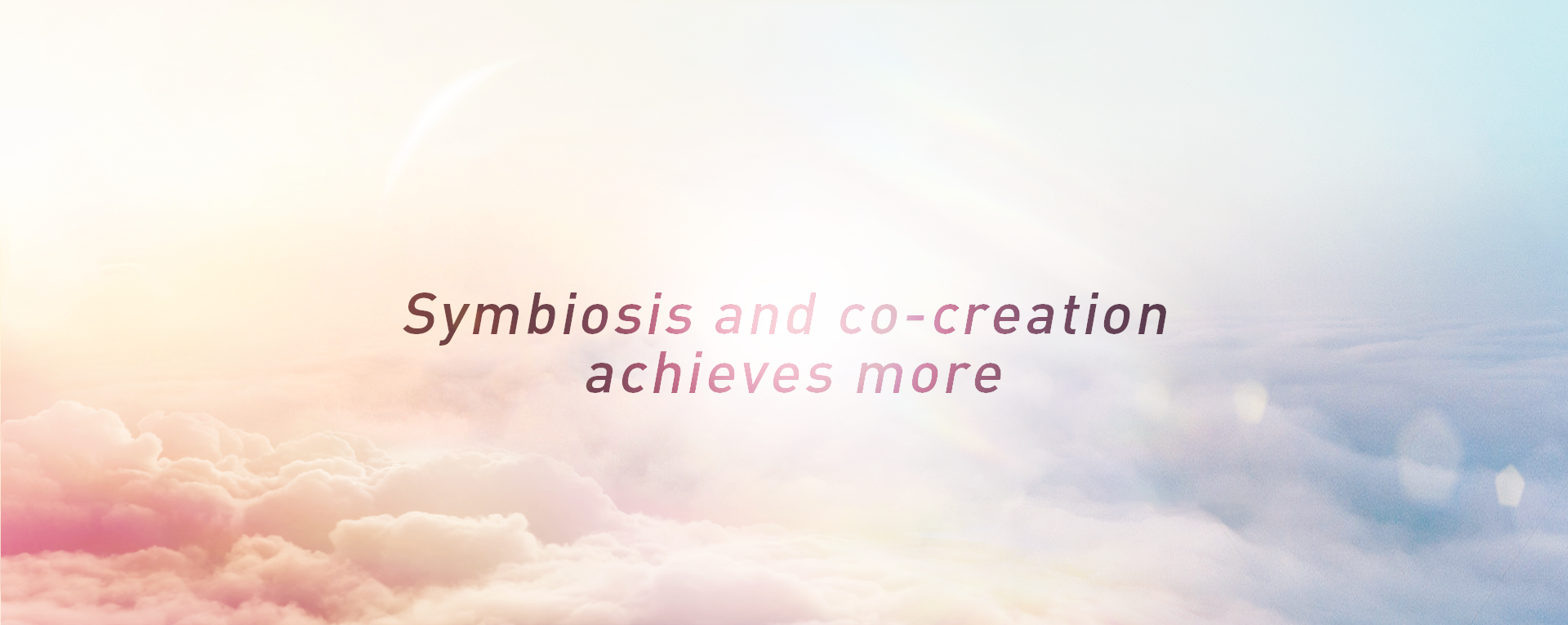 ���ξ���(�й�)�������޹�˾����