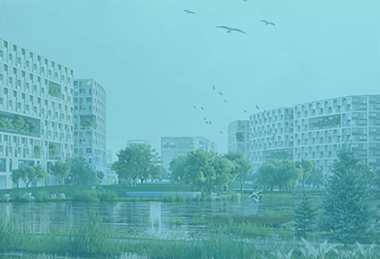 ���ξ���(�й�)�������޹�˾����